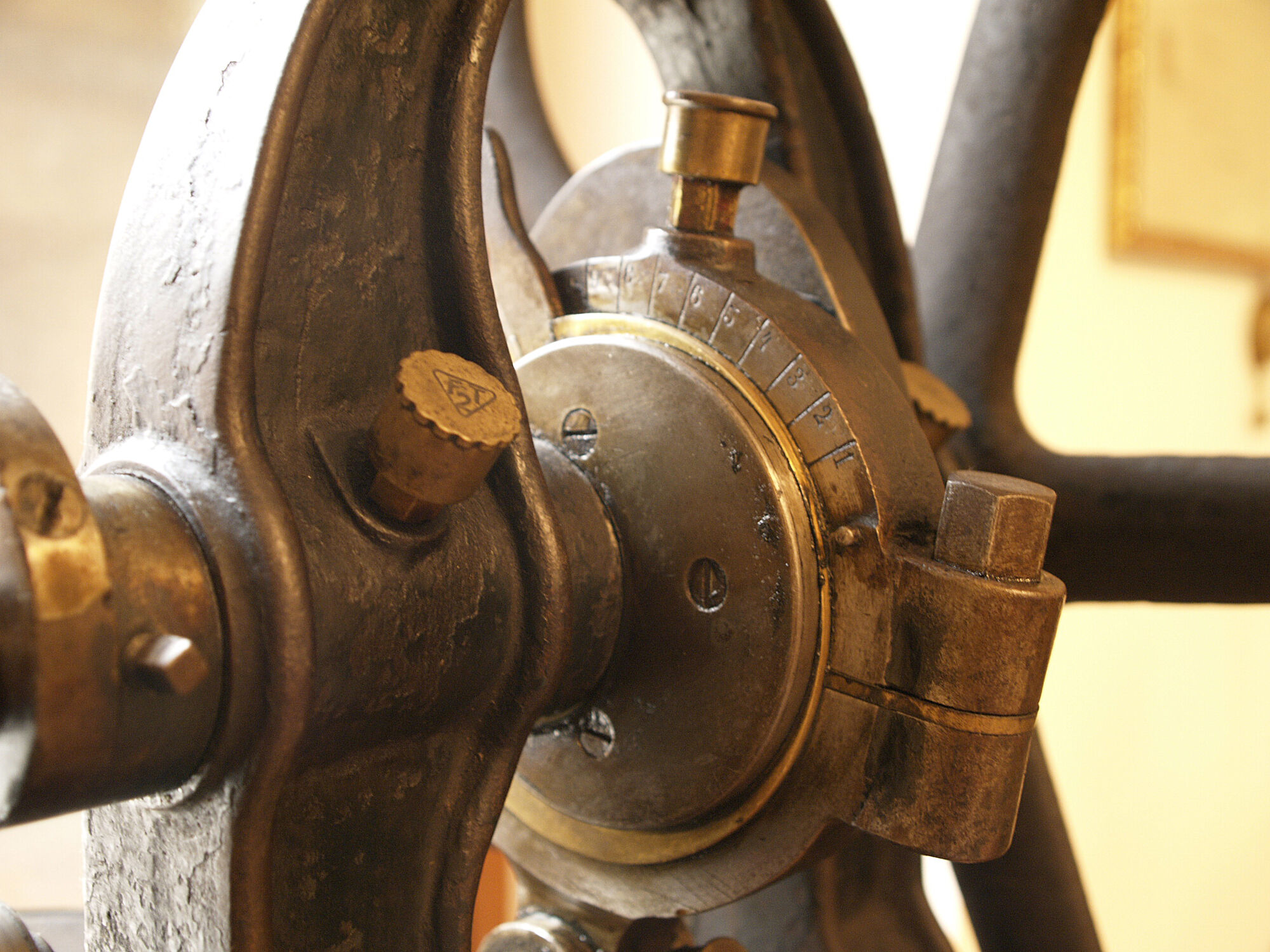 Museo e storia